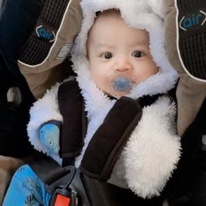 Meet your Posher, Ann